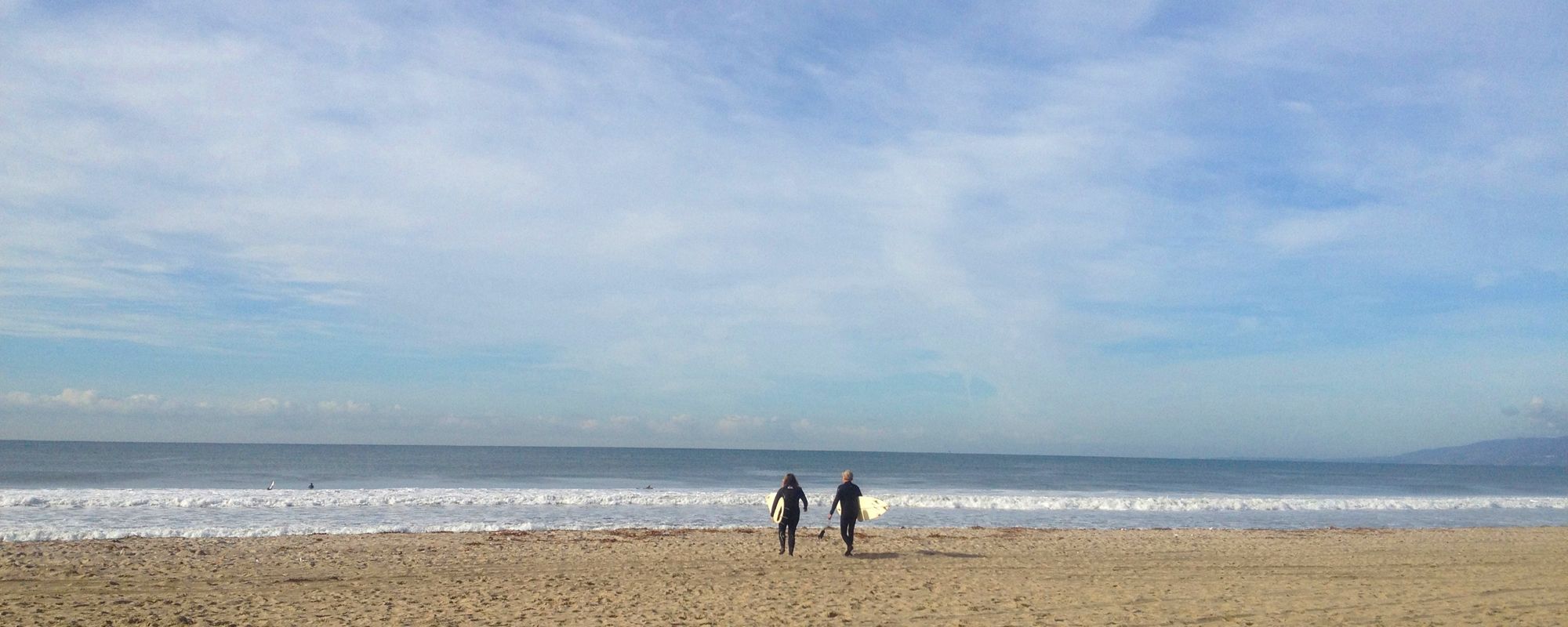 Venice Beach Surfers