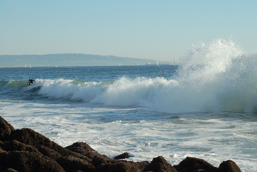 Venice Beach w Surfer