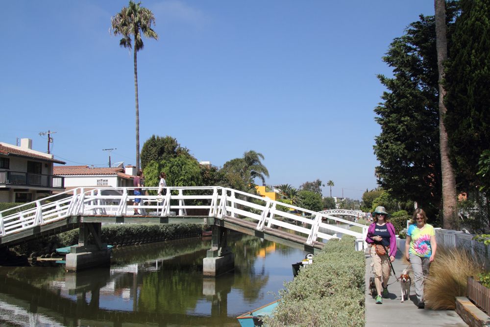 Dog Walk on Venice Canal